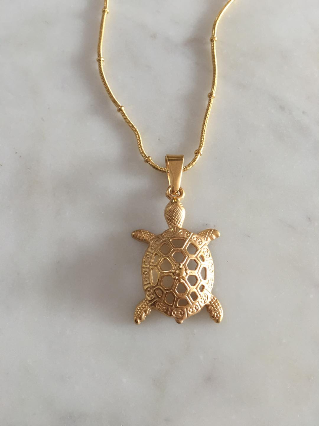 turtle