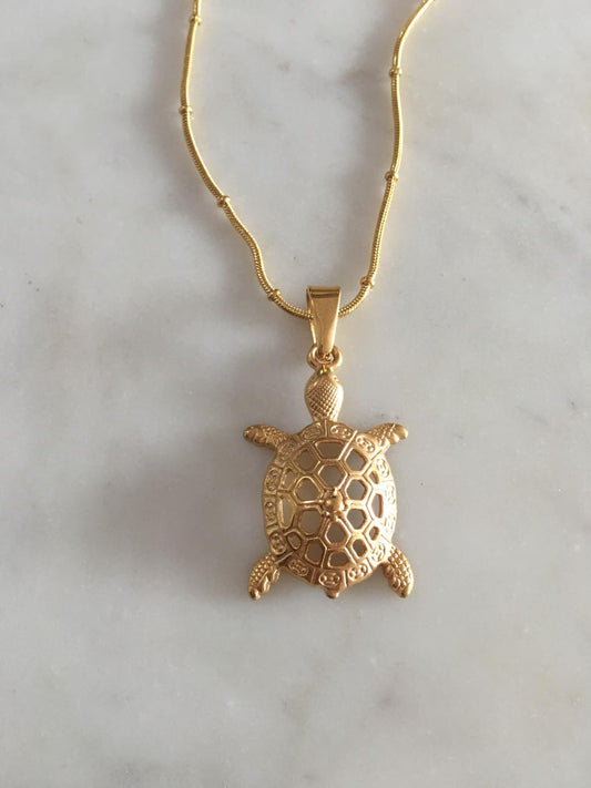 turtle