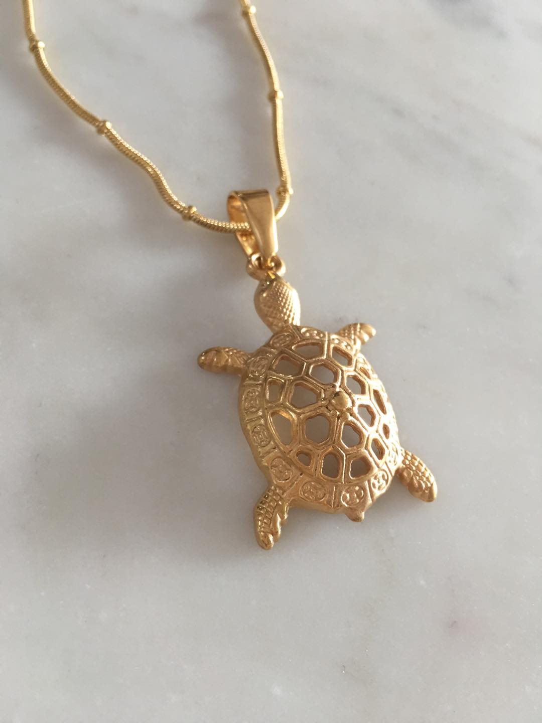 turtle