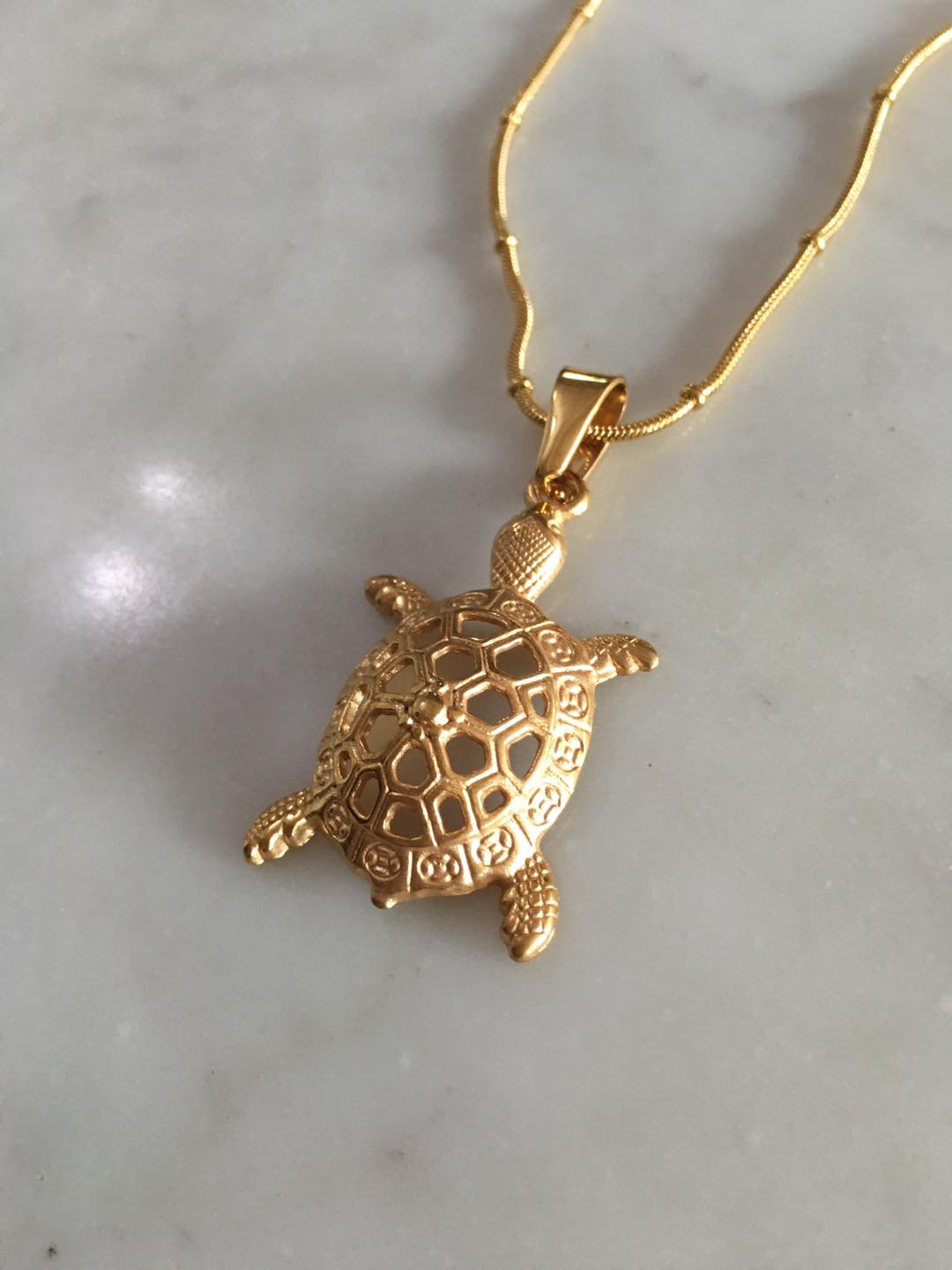 turtle
